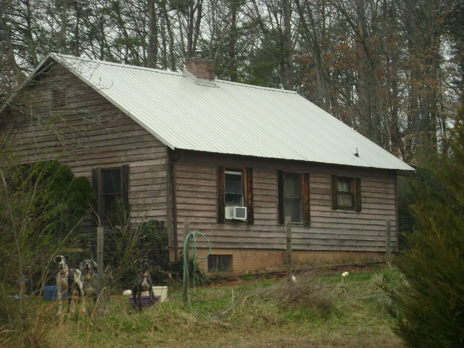 White metal roof on an old wood sided farmhouse, from a Asphalt Shingle Roof Repair job in Oberlin